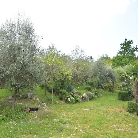 In Labin Near The Drenje (Istria)